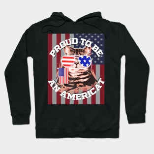 4th Of July Cat American Flag Glasses Hoodie